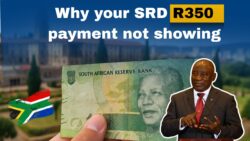SRD R350 Not Showing in Your Bank? The Shocking Reason Behind October Missing Payment!