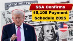 $5,108 Social Security Stimulus Payments Arrive this November 2025 – SSA Publishes Official Schedule and Payout Dates